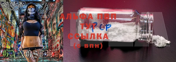 сатива Ладушкин