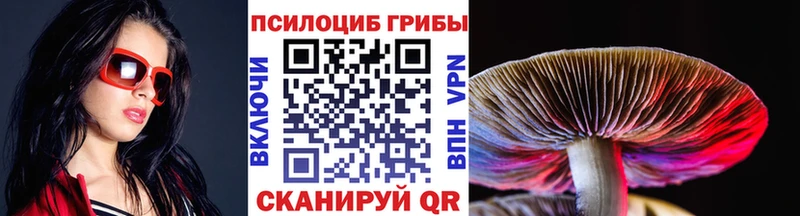 Псилоцибиновые грибы Cubensis  Апатиты 