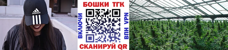 blacksprut   Апатиты  Бошки Шишки сатива  магазин продажи наркотиков 